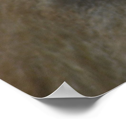 Ape zorgt voor elkaar poster (Hoek)