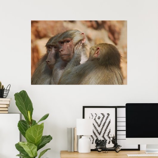 Ape zorgt voor elkaar poster (Thuiskantoor)