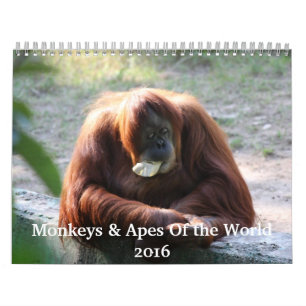 Apen en Apen van de Kalender van de Wereld 2016