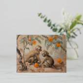 Apen - Folie Briefkaarten (Staand Voorkant)