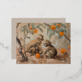 Apen - Folie Briefkaarten (Voorkant / Achterkant)