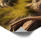 Apen getroond op oude stronk poster (Hoek)