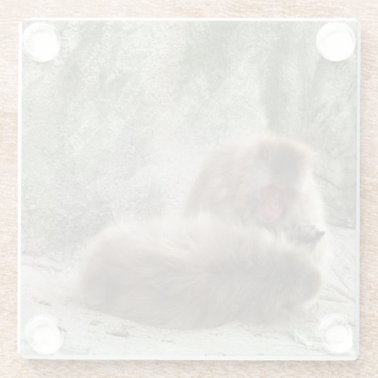 Apen Glazen Onderzetter (Achterkant)