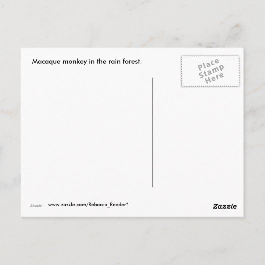 apen: Macaque in Kalimantan Indonesië Briefkaart (Achterkant)