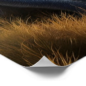 Apen majestueus bewondering weelderig groen veld poster (Hoek)