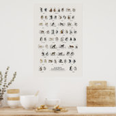 Apen - Naturalist's Library Poster (Keuken)