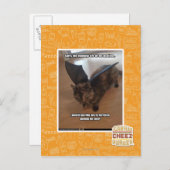 Apen op vakantie briefkaart (Voorkant / Achterkant)