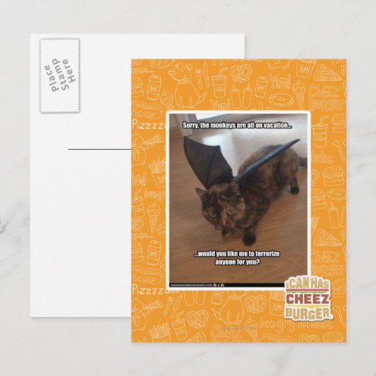 Apen op vakantie briefkaart (Voorkant / Achterkant)