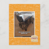 Apen op vakantie briefkaart (Voorkant)