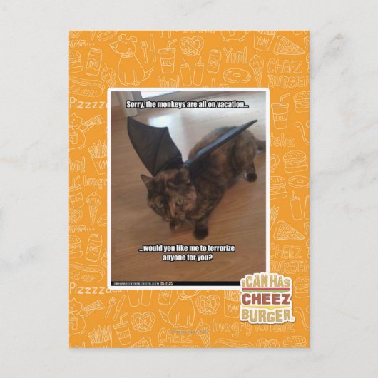 Apen op vakantie briefkaart (Voorkant)