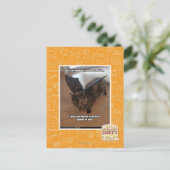 Apen op vakantie briefkaart (Staand voorkant)