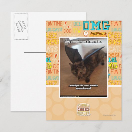 Apen op vakantie briefkaart (Voorkant / Achterkant)