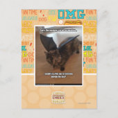 Apen op vakantie briefkaart (Voorkant)