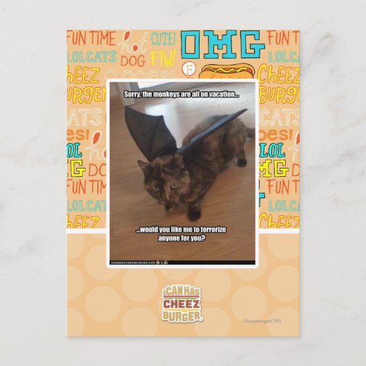 Apen op vakantie briefkaart (Voorkant)