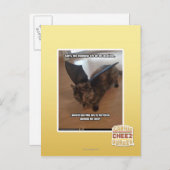 Apen op vakantie briefkaart (Voorkant / Achterkant)