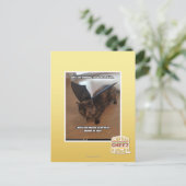 Apen op vakantie briefkaart (Staand voorkant)