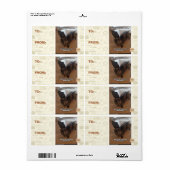 Apen op vakantie etiket (Full Sheet)