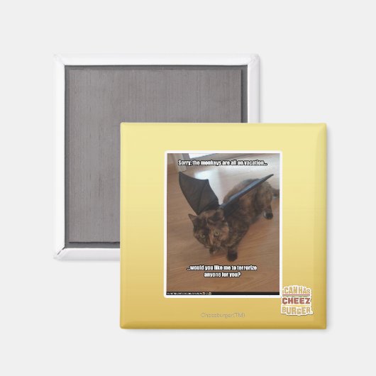 Apen op vakantie magneet (Voorkant / Achterkant)