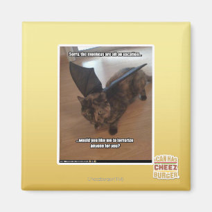 Apen op vakantie magneet