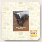 Apen op vakantie onderzetter (Voorkant)