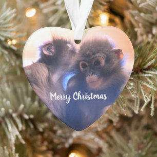 apen ornament