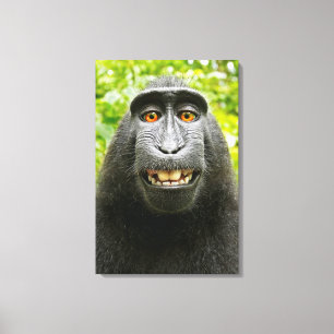 Apen Selfie Canvas Afdruk