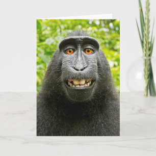 Apen Selfie Kaart