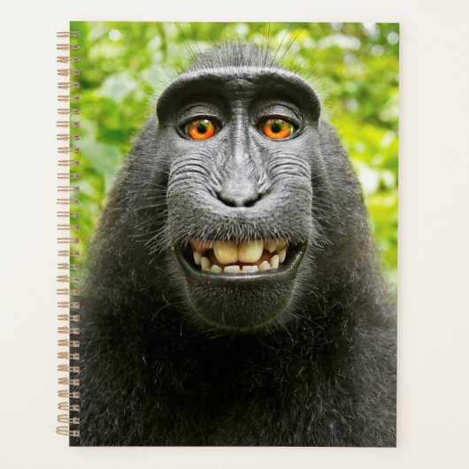 Apen Selfie Planner (Voorkant)