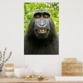 Apen Selfie Poster (Keuken)