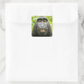 Apen Selfie Vierkante Sticker (Tas)