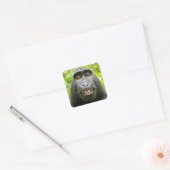 Apen Selfie Vierkante Sticker (Envelop)