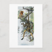 Apen - spin & tamarin briefkaart (Voorkant)