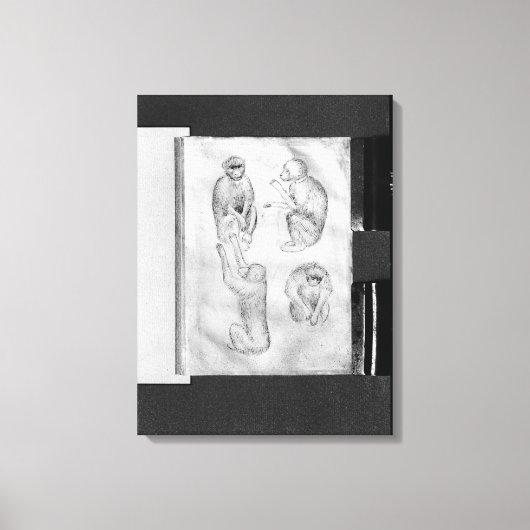 apen uit het Album van de Vallardi Canvas Afdruk (Voorkant)