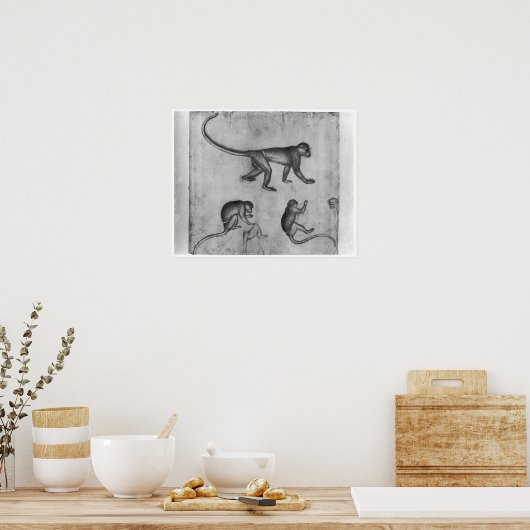 apen uit het Album van de Vallardi Poster (Keuken)