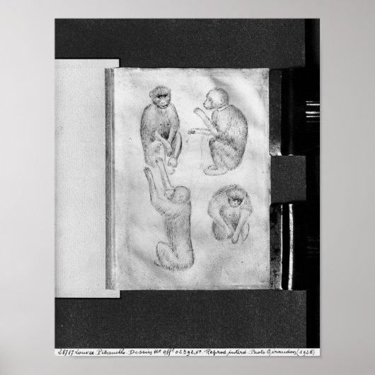 apen uit het Album van de Vallardi Poster (Voorkant)