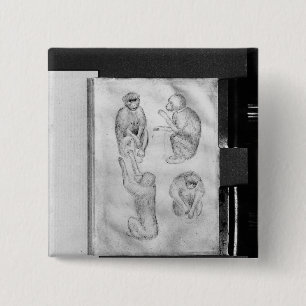 apen uit het Album van de Vallardi Vierkante Button 5,1 Cm