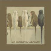 Apen Zakelijke Verjaardag Van Groep Gepersonalisee Sticker (Voorkant)