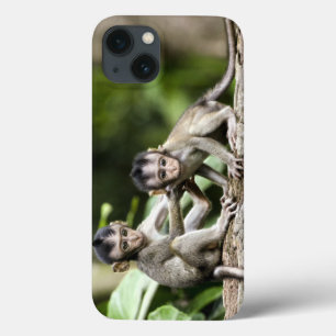 Apenbaby's in Natuur Case-Mate iPhone Case