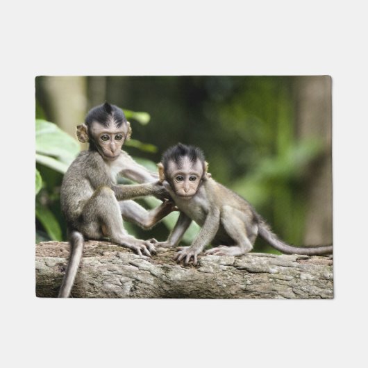 Apenbaby's in Natuur Deurmat (Voorkant)