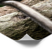 Apenbaby's in Natuur Poster (Hoek)