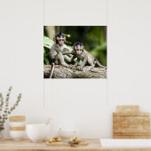 Apenbaby's in Natuur Poster (Keuken)