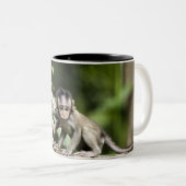 Apenbaby's in Natuur Tweekleurige Koffiemok (Voorkant rechts)