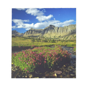 Apenbloemen bij Logan Pass in Glacier National Notitieblok