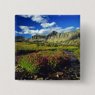 Apenbloemen bij Logan Pass in Glacier National Vierkante Button 5,1 Cm