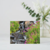 Apenbloemen langs Lunch Creek in Glacier Briefkaart (Staand voorkant)