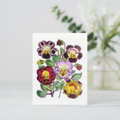 Apenbloemen Vintage Botanische Ansichtkaart Briefkaart (Staand voorkant)