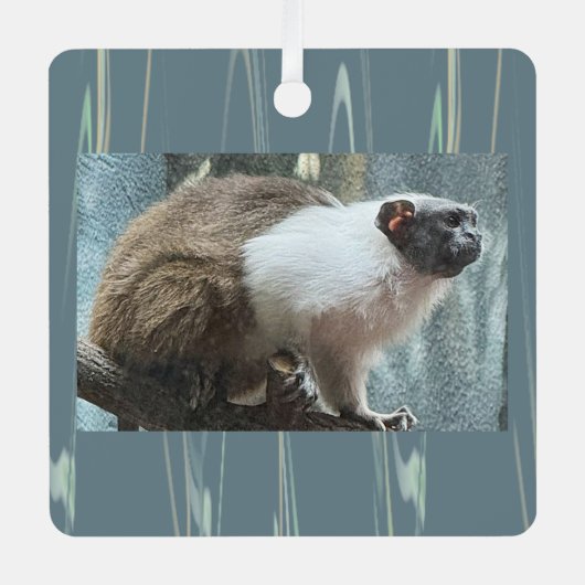 Apenfoto Ornament (Voorkant)