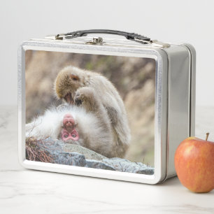 Apenfotografie, Japanse makaak aap