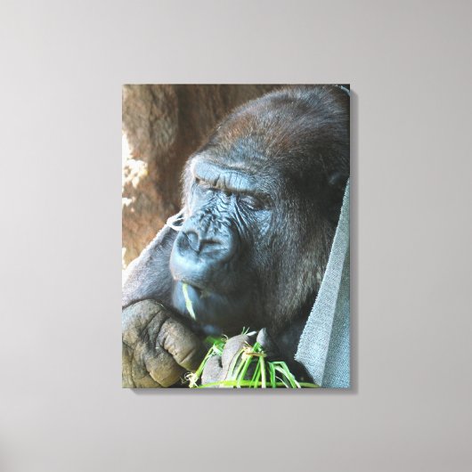 Apenkap ~ Japanse Gorilla Eet Canvas Afdruk (Voorkant)