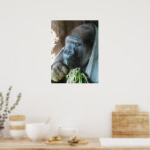 Apenkap ~ Japanse Gorilla Eetgedrag Poster (Keuken)